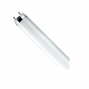Lâmpada D50 – Luz do dia TC 286