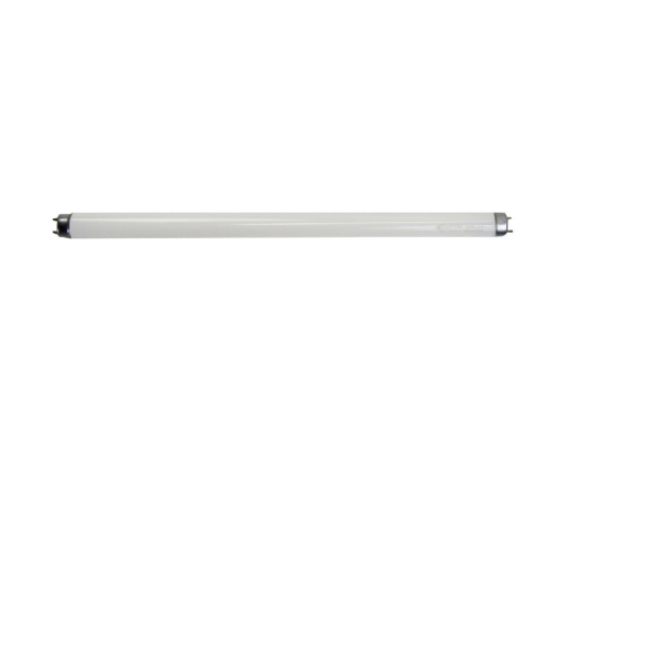 Lâmpada CWF – Cool White